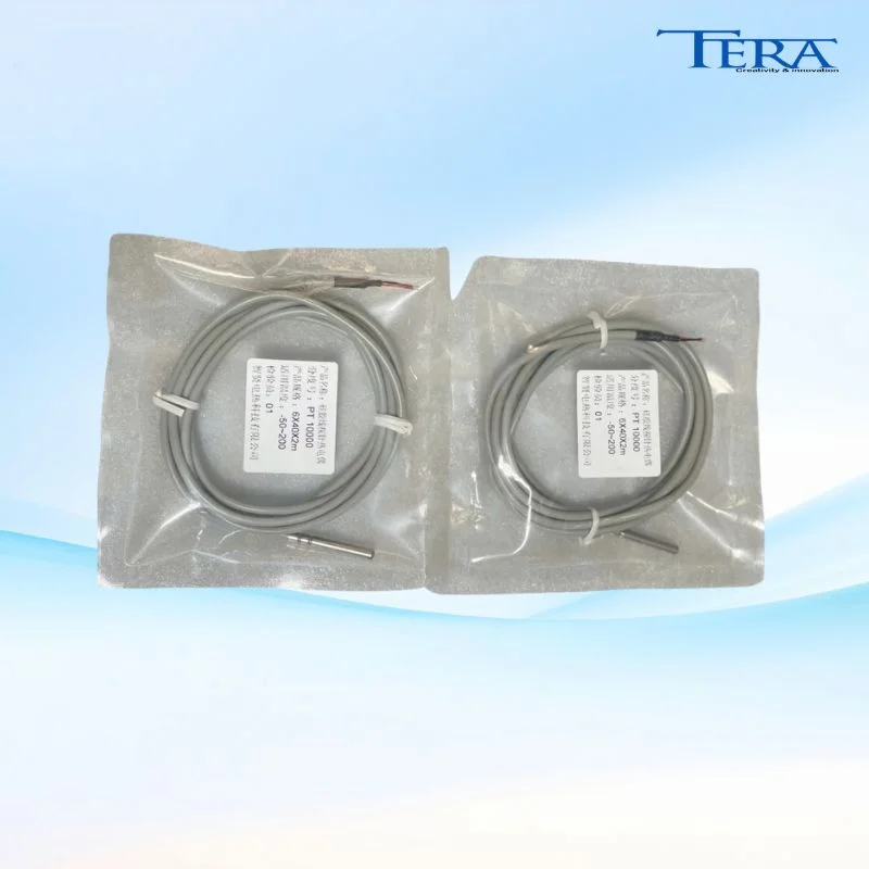 Dây dò PT1000 6*40*2m