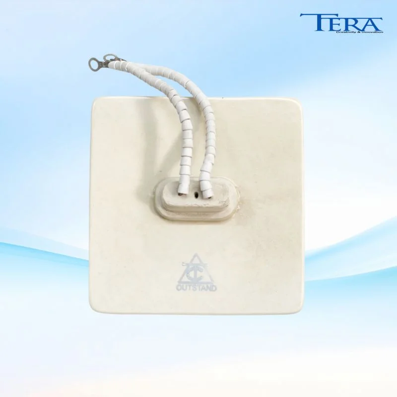 Điện trở sứ trắng